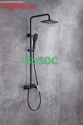 Sen cây Kagol đồng phủ nano đen