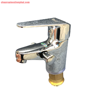 Sen liền vòi Kagol lõi đồng