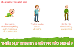 Vitamin D có nhiều trong loại hoa quả nào?